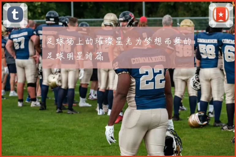 足球场上的璀璨星光为梦想而舞的足球明星诗篇