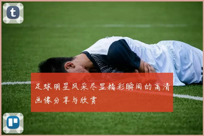 足球明星风采尽显精彩瞬间的高清画像分享与欣赏