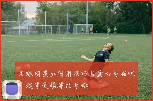 足球明星如何用技巧与爱心与猫咪一起享受踢球的乐趣