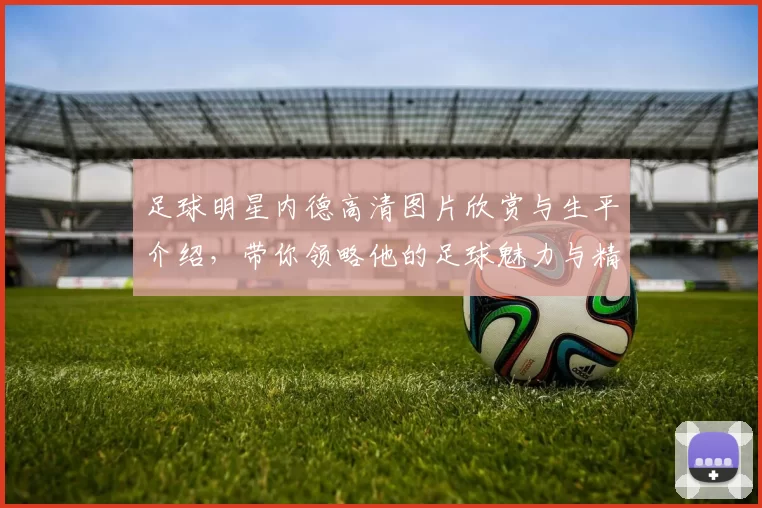 足球明星内德高清图片欣赏与生平介绍，带你领略他的足球魅力与精彩瞬间