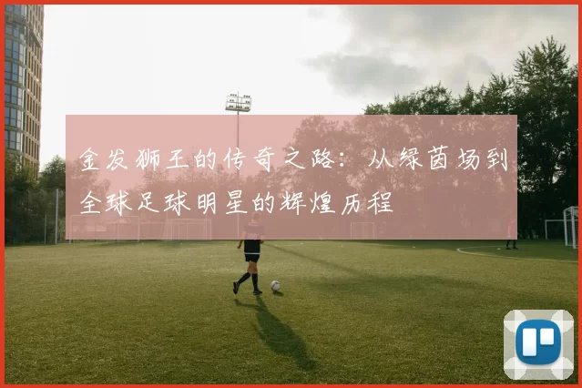 金发狮王的传奇之路：从绿茵场到全球足球明星的辉煌历程
