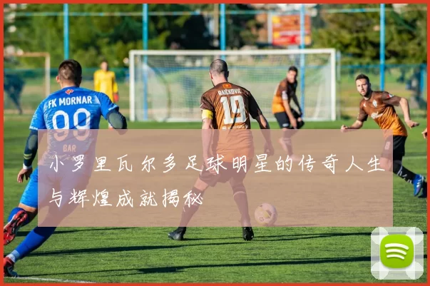 小罗里瓦尔多足球明星的传奇人生与辉煌成就揭秘