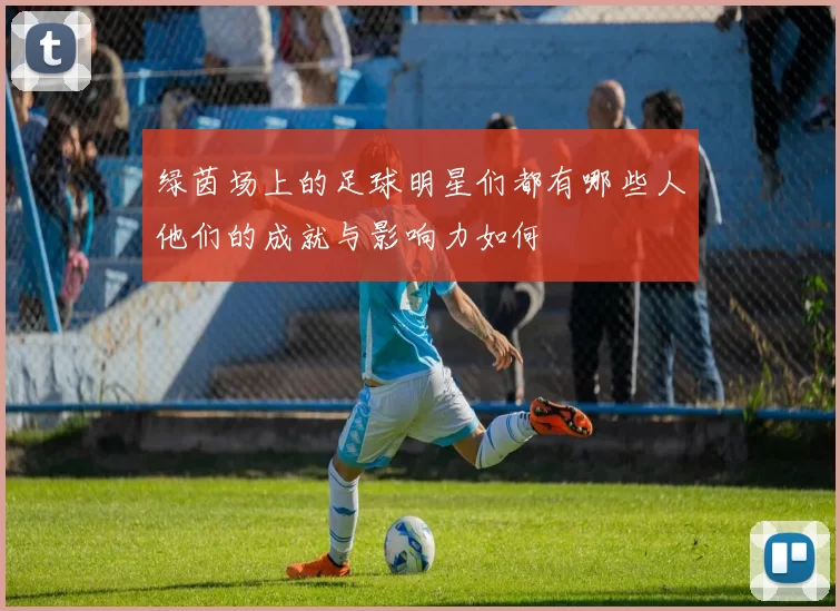 绿茵场上的足球明星们都有哪些人他们的成就与影响力如何