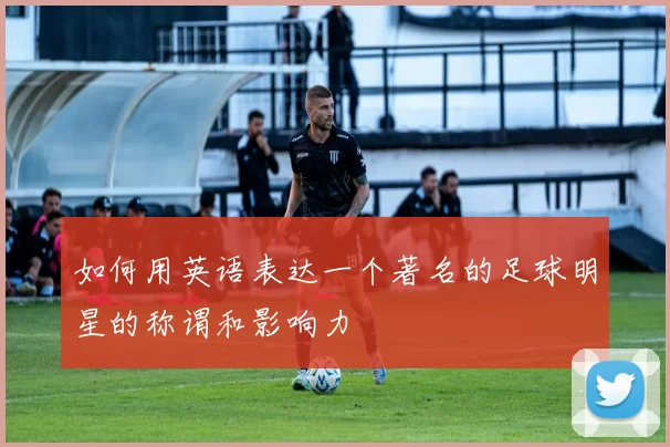 如何用英语表达一个著名的足球明星的称谓和影响力