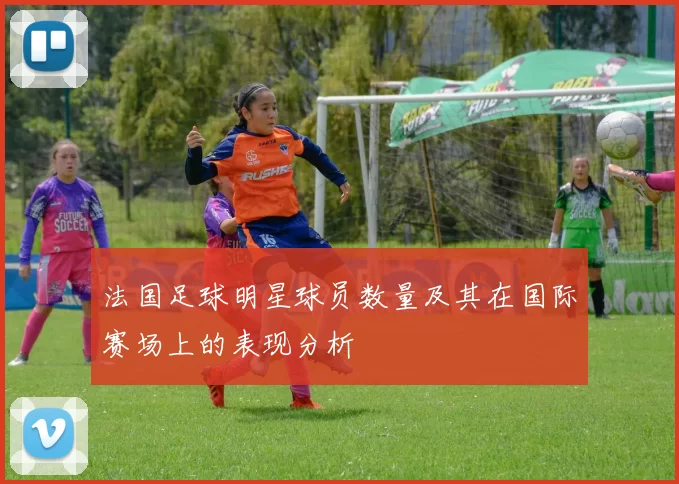 法国足球明星球员数量及其在国际赛场上的表现分析