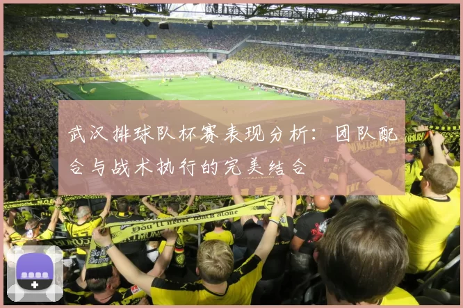武汉排球队杯赛表现分析：团队配合与战术执行的完美结合