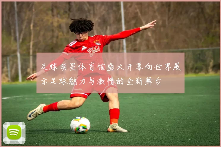 足球明星体育馆盛大开幕向世界展示足球魅力与激情的全新舞台