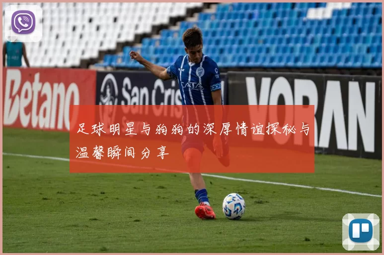 足球明星与狗狗的深厚情谊探秘与温馨瞬间分享