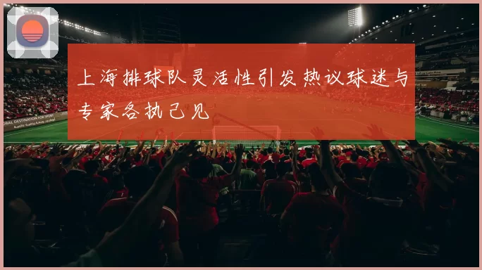 上海排球队灵活性引发热议球迷与专家各执己见