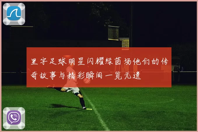 里字足球明星闪耀绿茵场他们的传奇故事与精彩瞬间一览无遗