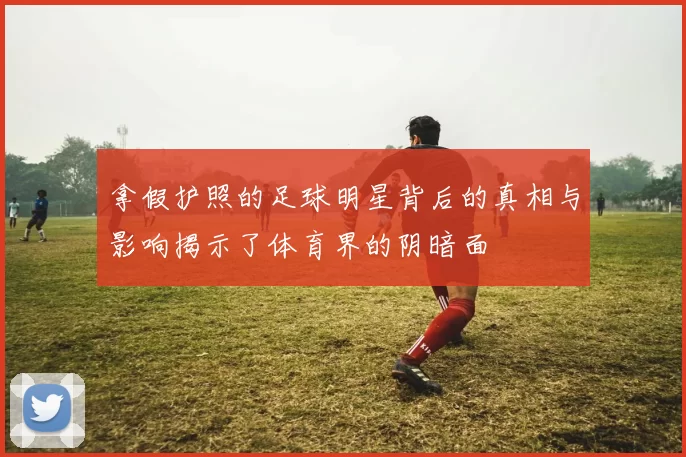 拿假护照的足球明星背后的真相与影响揭示了体育界的阴暗面